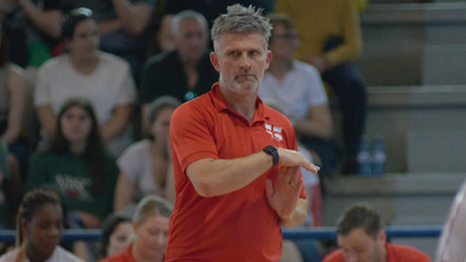 Darren Lewis landscape