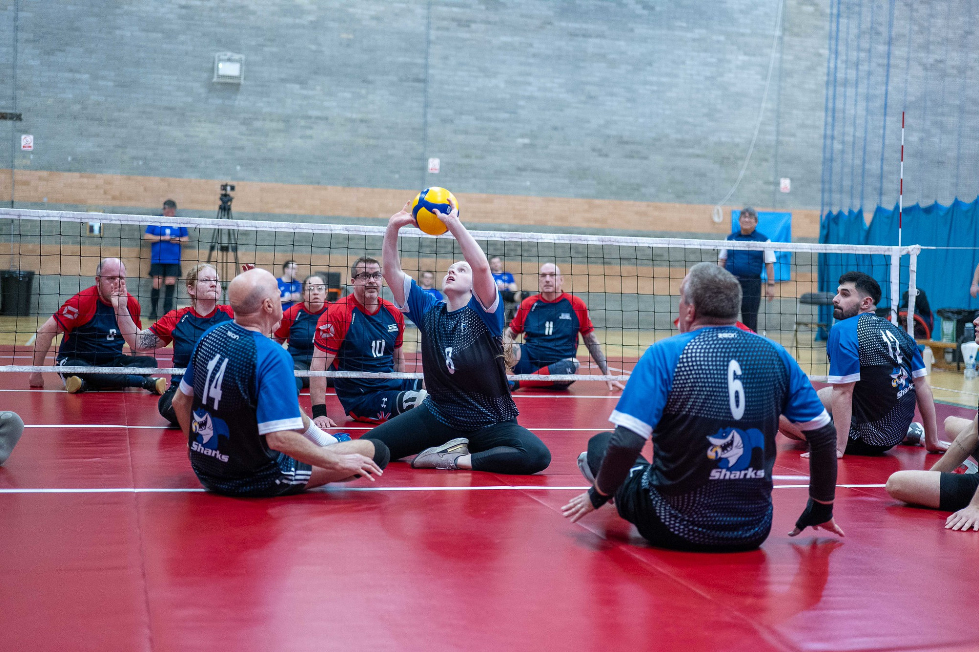 54408063662_a870012ac9_k