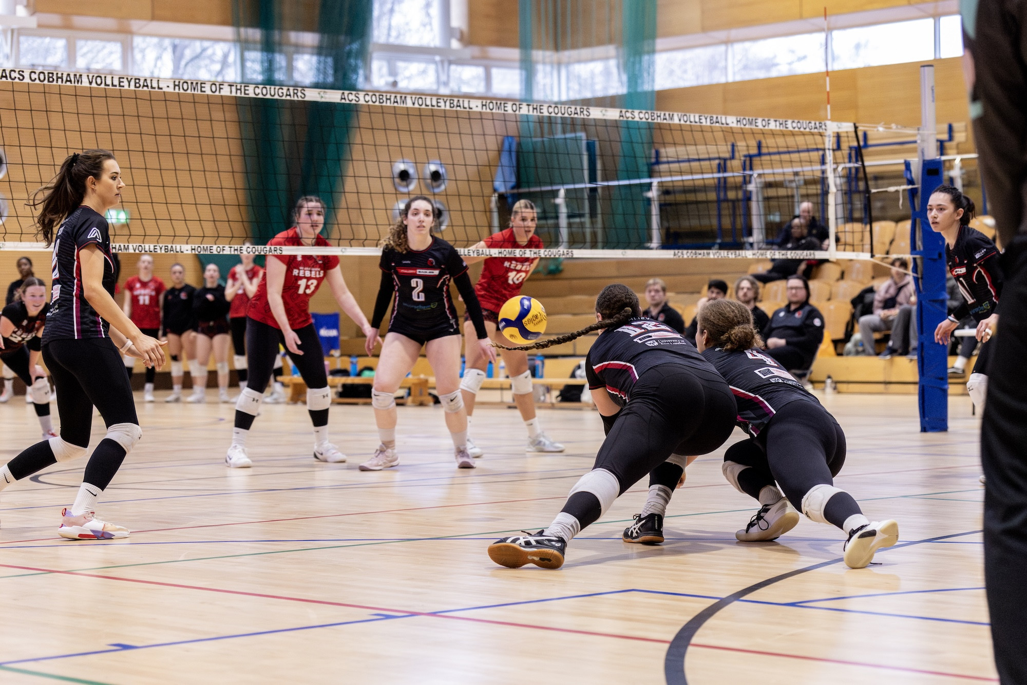 arigreenmedia&mdash;21