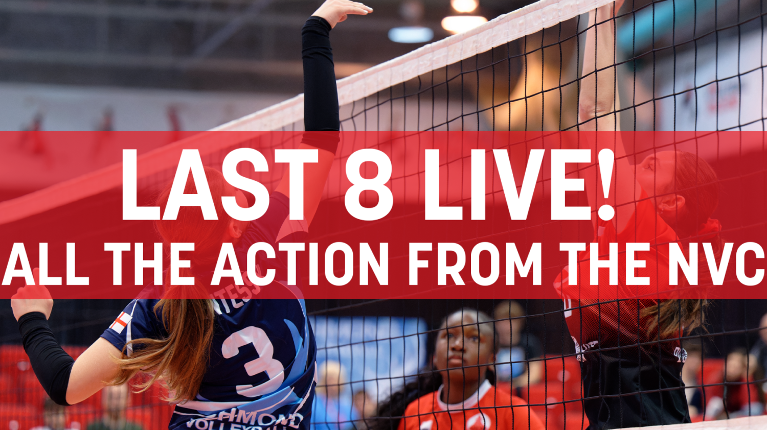 Womens deals volleyball live