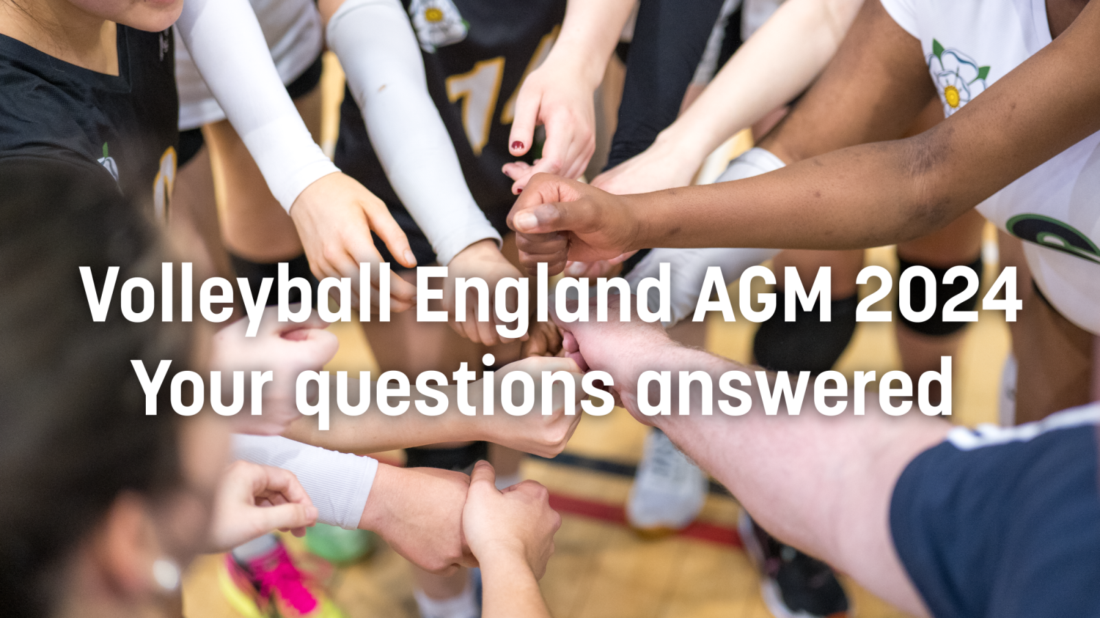 Volleyball England AGM 2024: Your questions answered
