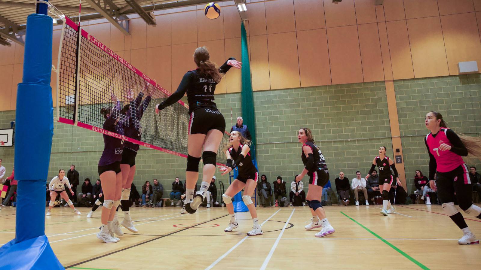 NVL Preview (25th and 26th January) - crunch fixture for Trinity and Giants  