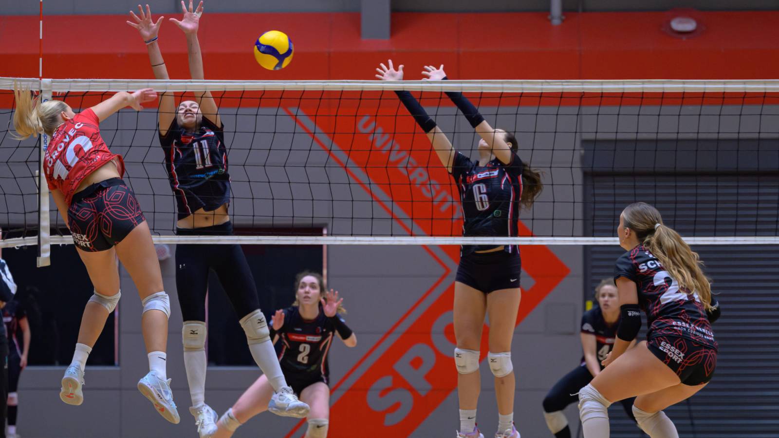 Super League review (29th and 30th November) - Palatinates women go top in signal of intent