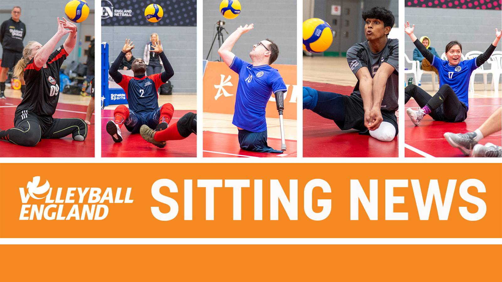 New sitting newsletter launched as part of Disability History Month 