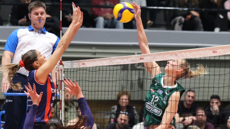 International referee appointments update - April 2026